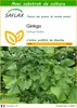 SAFLAX  - Ginkgo - 4 graines - Avec substrat - Ginkgo Voir les images du produit 1