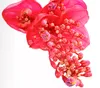 Dehner Medinille Flamenco, rosa-rote Blüten, ca. 45-55 cm, Produktbild-Vorschau 2
