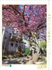 CALVENDO Puzzle Die Stresemannstrasse im Blütenzauber. 1000 Produktbild-Vorschau 1