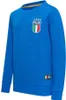 Felpa Ufficiale FIGC Bambini – Taglia 140 - Maglione Anteprima dell’immagine prodotto 5