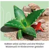 Kosmos 45496907, Experimentier-Set, Botanik, 6 Jahr(e) Produktbild-Vorschau 3