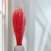 Lepidium (Lepidium sativum) - Rot Produktbild-Vorschau 5