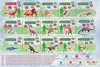 EDUCA Puzzle Weltkarte mit Dinosauriern 150 Teile Produktbild-Vorschau 7