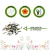 Studentenblumen Bonita Mischung Samen - Tagetes patula - Produktbild-Vorschau 2