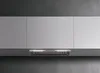 Falmec Gruppo Incasso Plus Pro Intégré Acier inoxydable 950 Voir les images du produit 1