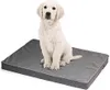 A white puppy sits on a gray dog bed. Produktbild-Vorschau
