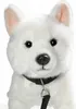 A close-up studio shot of a white plush dog wearing a black collar and leash. Náhled obrázku produktu