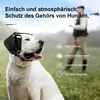 A white dog wearing black earmuffs sits in a grassy field, with a hunter in the background. Produktbild-Vorschau