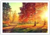 Poster - Poster ohne Rahmen - Park Herbst Baum - 100x70 cm Produktbild-Vorschau 1