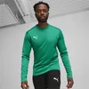 Puma Teamgoal Trainingssweat Herren - Grün Produktbild-Vorschau 3