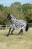 Bucas Fliegendecke Zebra mit Halsteil - 130 cm Produktbild-Vorschau 10