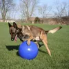 Jolly speelgoed voor honden, type "Push-n-Play", kleur Productafbeelding-voorbeeld 3