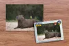 MuchoWow MuchoWow® Puzzle 500 ks Kapybara s malým ptákem na Náhled obrázku produktu 2