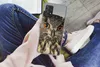 MuchoWow® Handyhülle Schutzhülle Hülle für Samsung Galaxy Produktbild-Vorschau 3