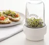KILNER Aufbewahrungsglas für Sprossen, 0,5 Liter 111336 Podgląd zdjęcia produktu 10