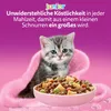 WHISKAS Junior Trockenfutter für Katzen 5 x 800g mit Huhn Produktbild-Vorschau 7