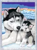Ravensburger Husky Kiss Náhľad obrázku produktu 2