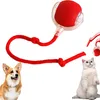 Rolling Ball, Elektrischer Hundeball Spielzeug, Chewie Produktbild-Vorschau 1