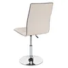 A single chair shown from the back on a white background. Náhled obrázku produktu