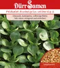 Artikelbild 1 von 'Feldsalat Dunkelgrüner Vollherziger 2' aus der Kategorie Feldsalatsamen Produktbild-Vorschau