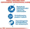 Royal Canin Home Life Indoor 27, Dorosły, 4 kg Podgląd zdjęcia produktu 3