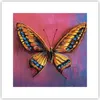 Poster - Poster ohne Rahmen - Schmetterling bunt gemalt - Produktbild-Vorschau 1