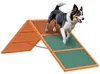 PawHut - Pont d'agilité pour chiens - Équipement d'agilité Voir les images du produit 1
