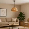 A living room scene with a sofa, coffee table, plant, and a pendant light. Podgląd zdjęcia produktu