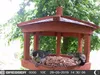 Bresser 3310006 SFC-1 Small Animal Camera 2 Megapixel Produktbild-Vorschau 7