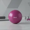 tiguar body ball safety plus 65 cm - prugna Anteprima dell’immagine prodotto 15
