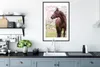 MuchoWow® MuchoWow® Gerahmtes Poster Pferd - Sakura - Produktbild-Vorschau 4