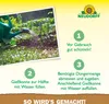 Neudorff  - Azet UniversalDünger 1 Liter - 100% organisch Produktbild-Vorschau 5