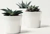 KOTARBAU® Keramik Blumentopf Übertopf ⌀ 9cm  Klassisch Weiß Produktbild-Vorschau 3