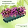 MePla - Set - Balkonkasten Balcony 60 cm + Untersetzer - Produktbild-Vorschau 2