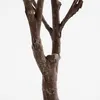 Mica Decorations Eucalyptus plante artificielle dans pot de Voir les images du produit 6