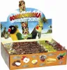 Nestor Bombonierka dla średnich papug Podgląd zdjęcia produktu 1
