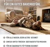 A dog is lying on its back on a rug in a living room. Produktbild-Vorschau