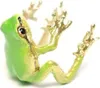 Baumfrosch-Ohrclip, Froschring, gute Details, realistisches Produktbild-Vorschau 8