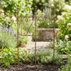 Grille "Support pour plantes vivaces" 41x20xH72cm Voir les images du produit 1