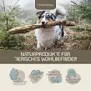 PROVICELL MobiVital I 150 Gelenk-Pulver Hund | Mit Produktbild-Vorschau 5