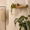 A shelf with decorative items and a hanging plant, next to a clothing rack with a shirt. Produktbild-Vorschau