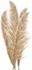 Clayre & Eef Trockenblumen 142 cm Beige Braun Trockenblumen Produktbild-Vorschau 1