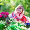 4 szt. figurki żaby do ogrodu, odporne na warunki Podgląd zdjęcia produktu 3
