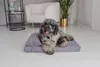 Hundebett, Hundematratze, Welsti grau Cord M 70x50 Produktbild-Vorschau 2