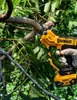 DeWALT Akku-Astschere DCMPP568N-XJ, Gartenschere, Astsäge, Produktbild-Vorschau 18