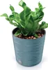 Prosperplast Blumentopf FURU ROUND Blau 25 cm Produktbild-Vorschau 8