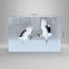 Bilder auf glas - Einteilig - Kraniche kämpfen tanzen - Produktbild-Vorschau 3