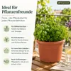 Pflanzkübel Fiona terrakotta Ø ca.18cm Produktbild-Vorschau 8