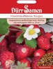 Monatserdbeere Rügen | Monatserdbeerensamen von Dürr Samen Produktbild-Vorschau 7