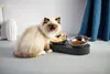 PETKIT Fresh Nano Metal Bowl 0.48 L Anteprima dell’immagine prodotto 15